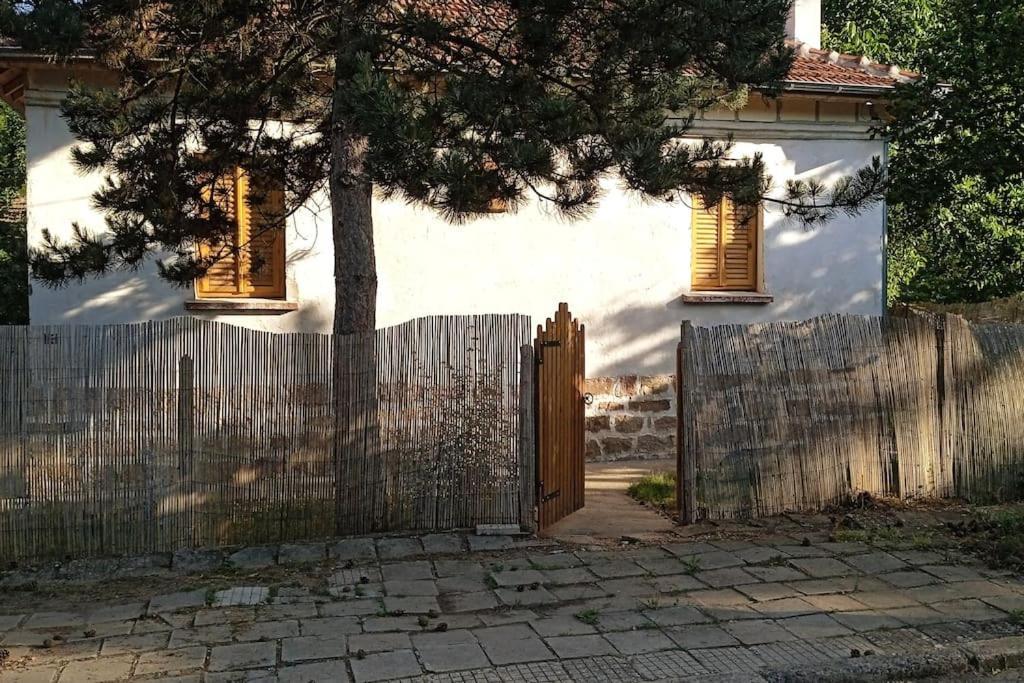 Ижата - Топлина И Уют Borovitsa Buitenkant foto