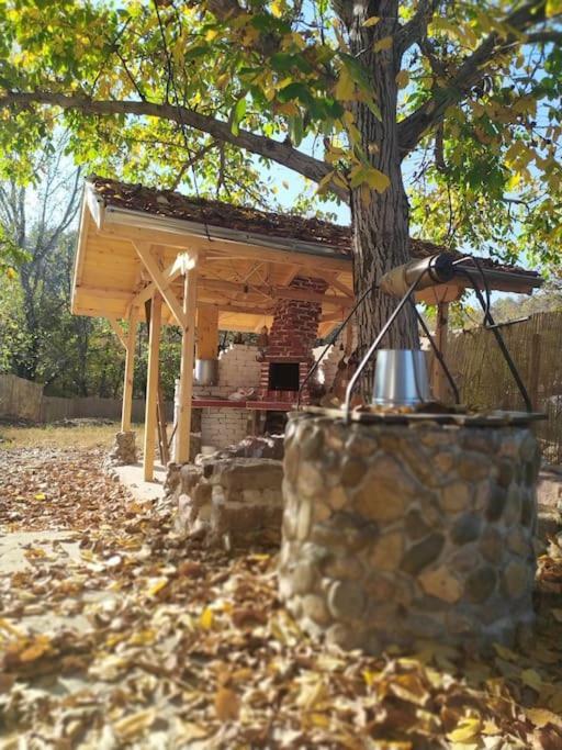 Ижата - Топлина И Уют Borovitsa Buitenkant foto